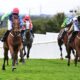 13/09/2021 - Racing Tips