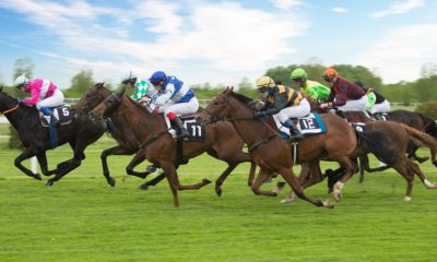 12/09/2021 - Racing Tips