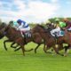 12/09/2021 - Racing Tips