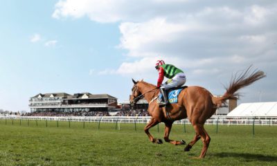 17/09/2021 - Tips for Day 2 of the Ayr Gold Cup Meeting