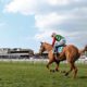 17/09/2021 - Tips for Day 2 of the Ayr Gold Cup Meeting