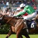 09/09/2021 - Doncaster Day 2 Tips