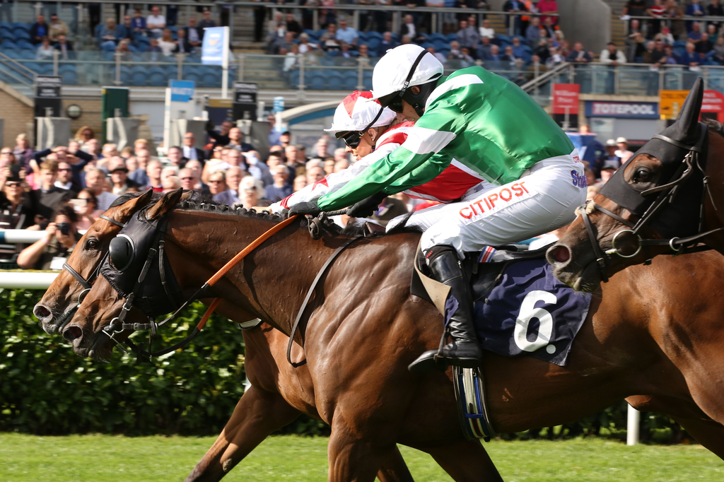 09/09/2021 - Doncaster Day 2 Tips