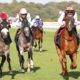 08/09/2021 - Tips for Day 1 of the St Leger Festival