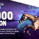 Hollywoodbets Grand National Trial Birthday Bonus