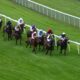 30/09/2022- Friday's racing tips by Neil Morrice