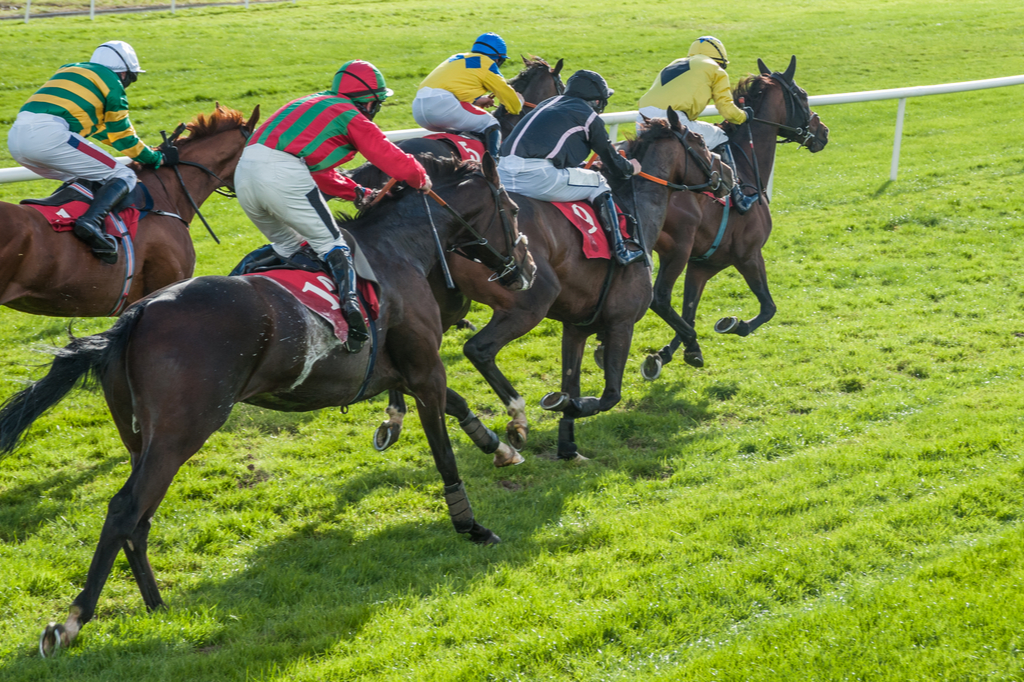 10/12/2022 - Saturday's Racing Tips by Neil Morrice