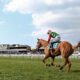 09/12/2022 - Friday's Racing Tips by Neil Morrice