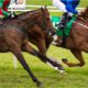 17/02/2023 - Friday's Racing Tips by Neil Morrice
