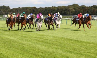 23/01/2023 - Monday's Racing Tips by Neil Morrice