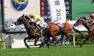 SHa Tin