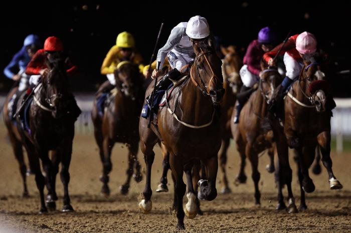 UK Racing Tips