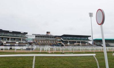 UK Racing Tips