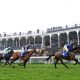 Thursday's racing tips