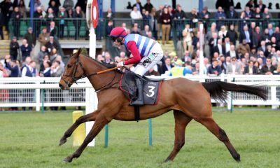 Cheltenham Festival