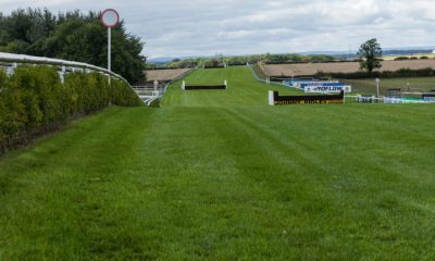 UK Racing Tips