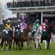 UK Racing Tips