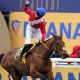 Cheltenham Festival