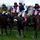 Cheltenham Festival
