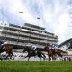 Horse Racing
