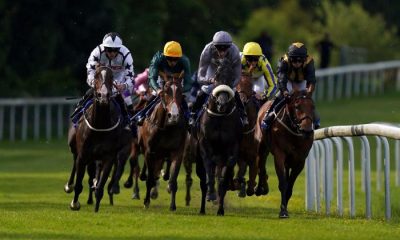UK Racing Tips