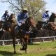 Horse Racing