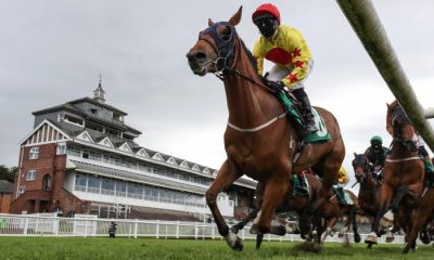 UK Racing tips