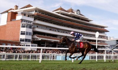 Saturday's racing tips