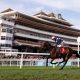Saturday's racing tips