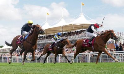 Flat Jockey