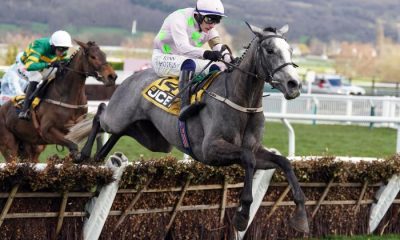 Punchestown