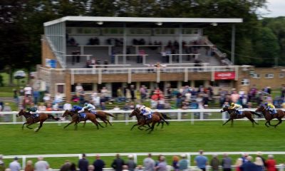 UK Racing tips