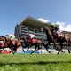 UK Racing Tips