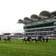 UK Racing Tips