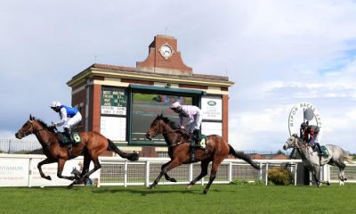 Horse Racing tips