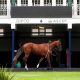 Royal Ascot
