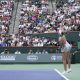 Wimbledon