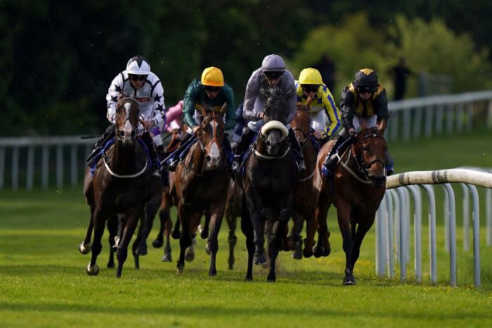 UK Racing Tips