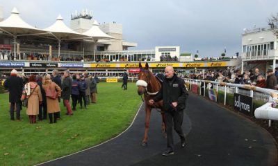 UK Racing Tips