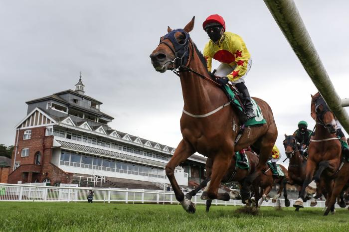 Horse Racing Tips