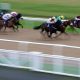 Monday's racing tips