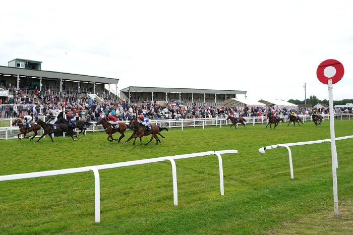 Horse Racing Tips