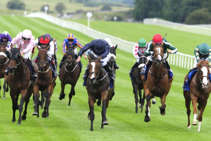 Tipperary Stakes