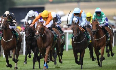 Horse Racing