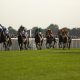National Hunt