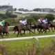 Brighton R&S 4 SEPTEMBER