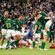 Springbok team