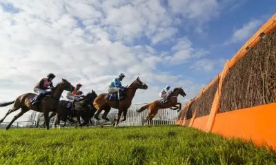Fontwell R&S