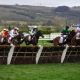 Boodles Juvenile