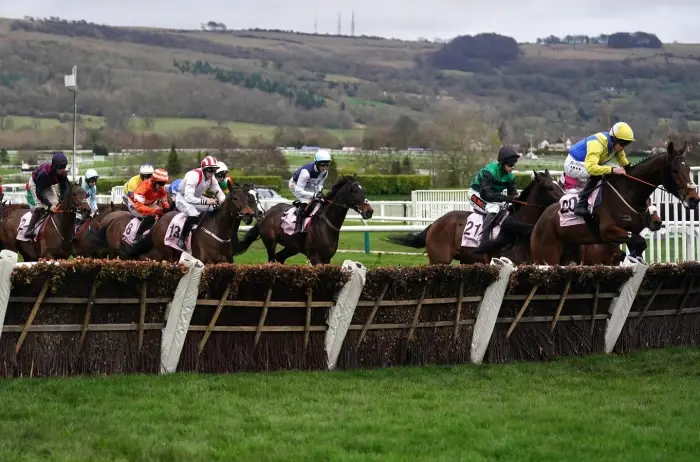 Boodles Juvenile